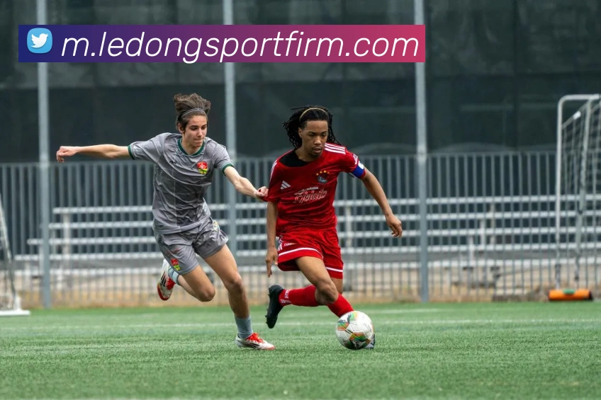 乐动体育平台生态图