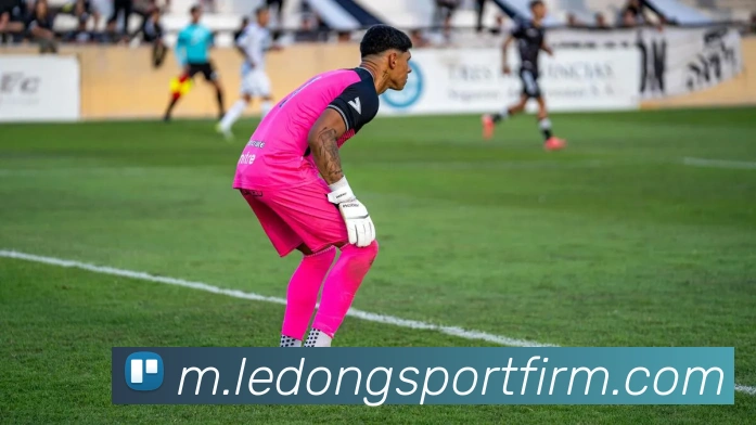 乐动体育全站App